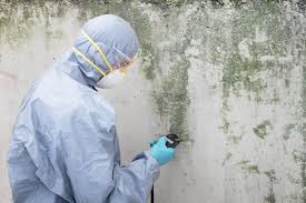 Ranchos De Taos, NM Mold Removal & Remediation Company